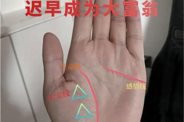 男子手相揭秘：官运亨通的秘密通道