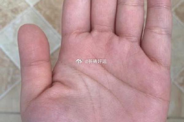 男子手相揭秘：官运亨通的秘密通道