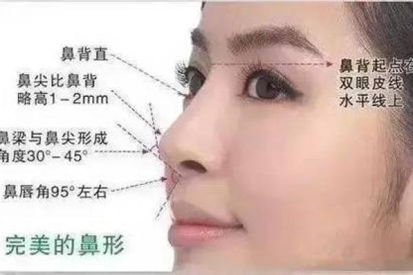 鼻子挺拔彰显大气：女性面相解析之鼻型之美