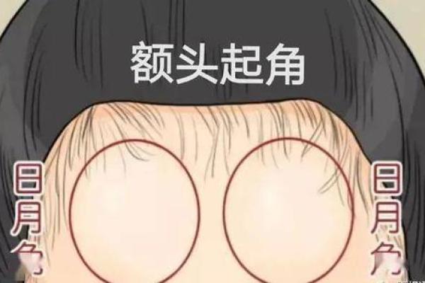 头角峥嵘面相解析