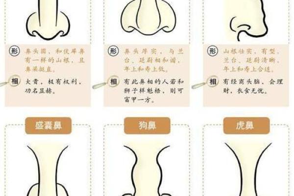 鼻有凹痕，命运多舛：揭秘面相中的命运之谜