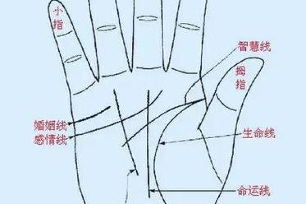 手中线条，揭示未来运势
