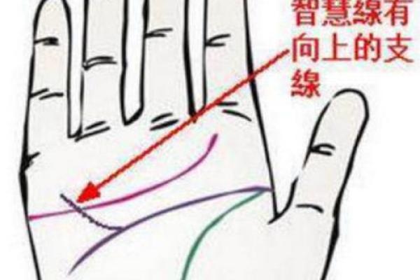 手中线条，揭示未来运势