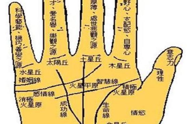 短命手相揭秘：一图看穿命运走向
