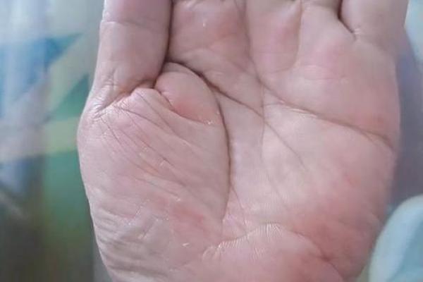 手中藏金：浪子手相告诉你的人生逆袭密码