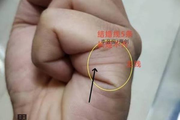 王者手相：揭秘右手命运密码