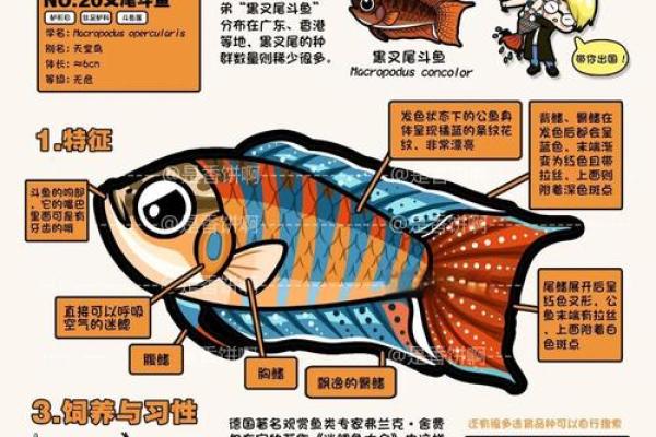 为渔业公司创意命名的五个实用技巧