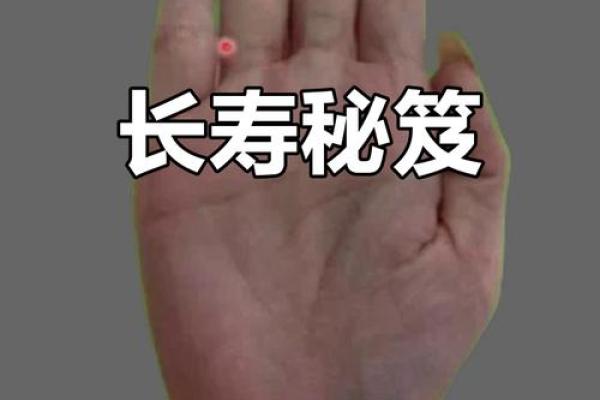 手掌纹路解码，揭秘生娃吉日良辰