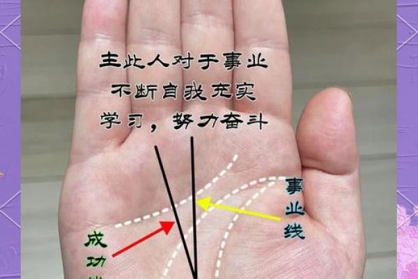 手相奥秘：揭秘你的命运与爱情