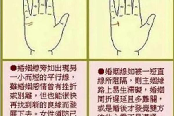 地纹在手，运势必涨：手相学爆款解读