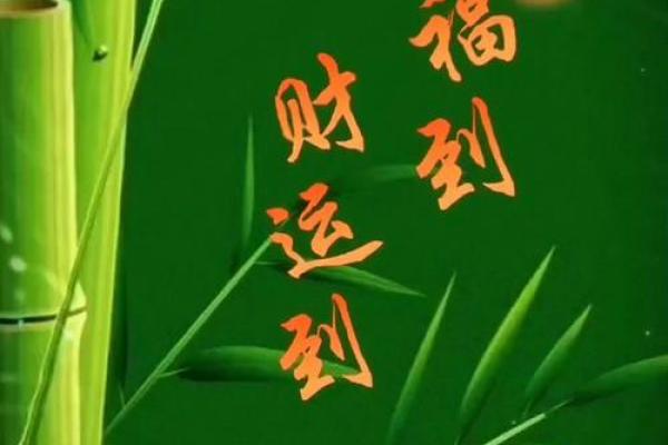 迁移线在手，财运亨通不是梦
