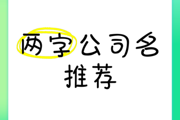 二字公司名称的魅力与独特性分析