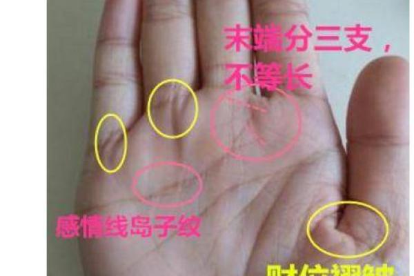 翻开手相财运秘密：男人财运图大全，财运亨通指南