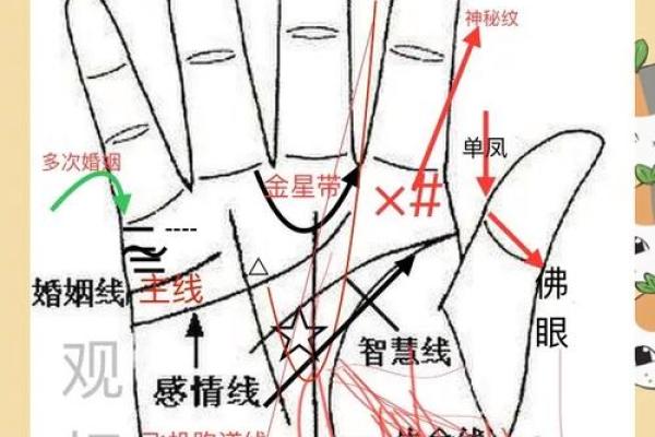 手相中的秘密：如何一眼识出漂亮老婆的命格？