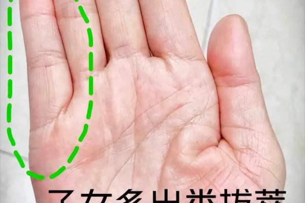 手相中的秘密：如何一眼识出漂亮老婆的命格？
