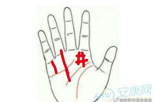 手相读心术：掌握女性命运走向的关键秘诀！