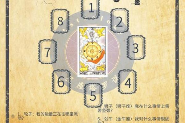 手相岛：揭秘命运密码的神奇之地