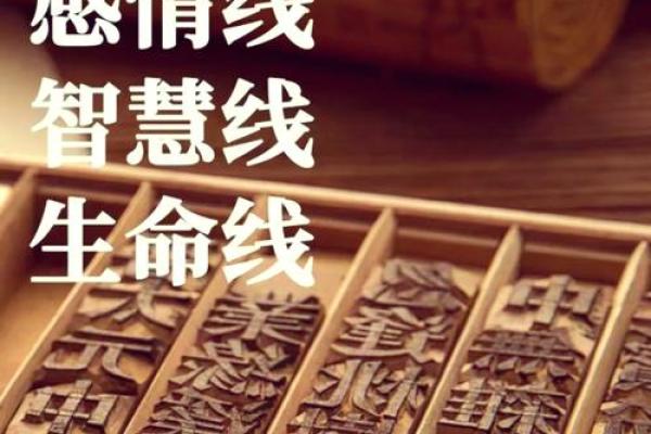 手相岛：揭秘命运密码的神奇之地
