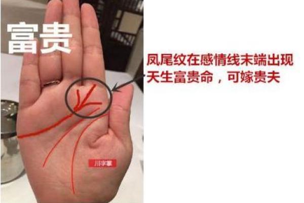 超手相花式解读，教你一眼看透人心