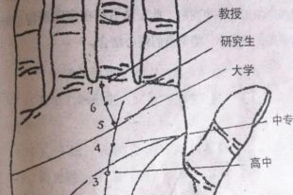 超手相花式解读，教你一眼看透人心