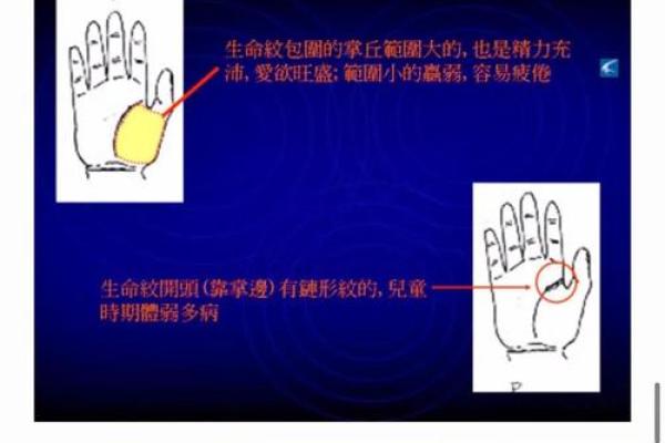 手指间的命运线索：手相罗全攻略大公开
