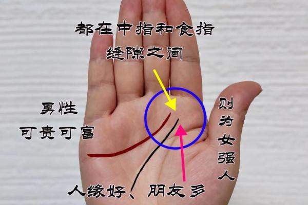 手指间的命运线索：手相罗全攻略大公开