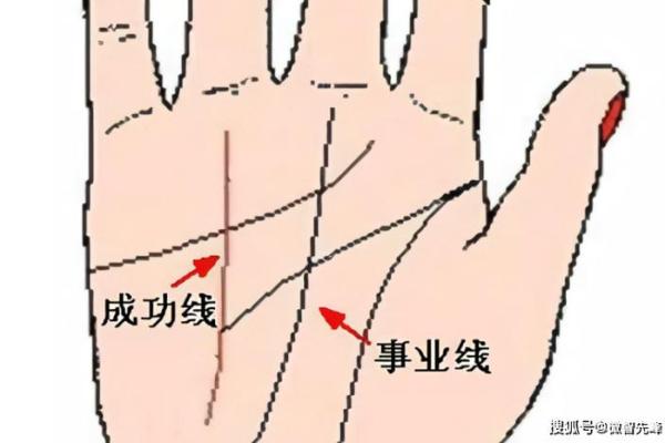 解锁女士右手手相魅力：掌握财运福运的秘密