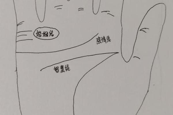 离婚命手相揭秘：掌握命运，告别纠缠