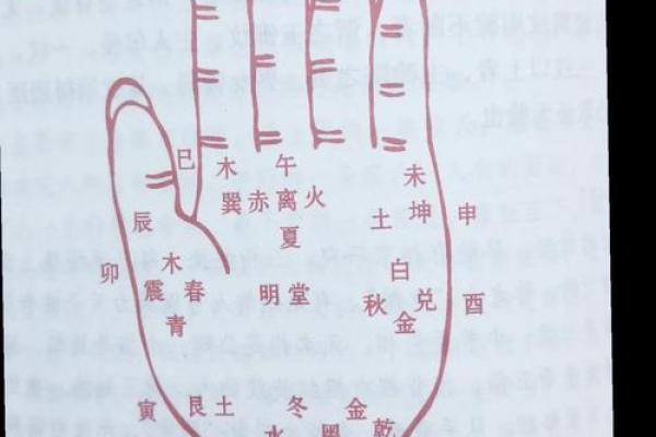 离婚命手相揭秘：掌握命运，告别纠缠