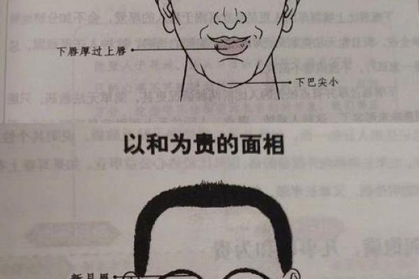 面相识人：痣相三家理论教你识人辨人，提升人际关系