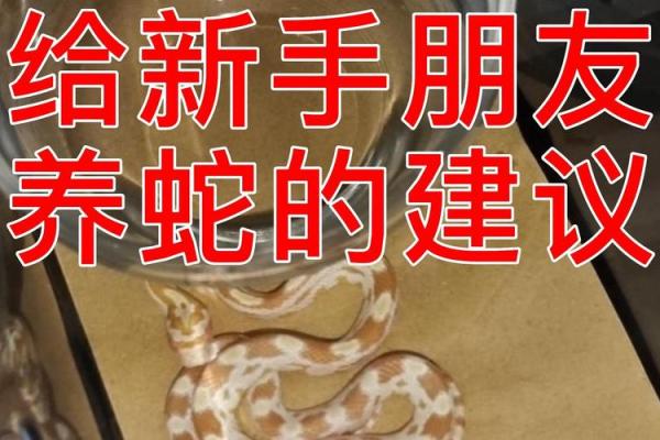 养蛇公司命名技巧与创意建议
