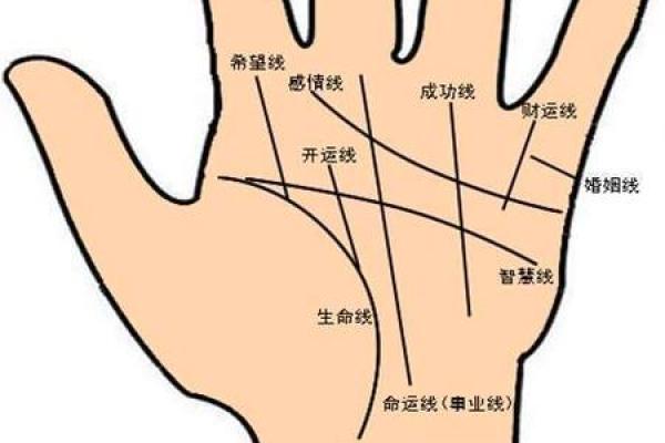 灵验无比，手相揭秘你的运势爆款秘籍