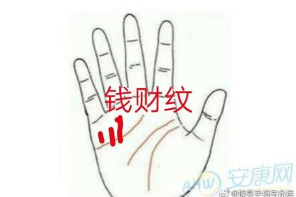 手相中的财运宝地：太阴丘的惊人力量