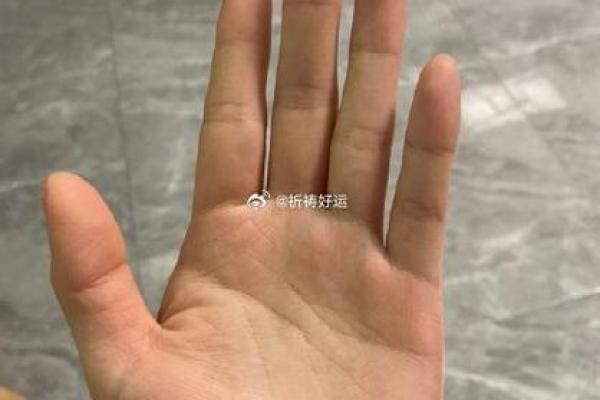 手相大师亲授：解锁你的运势密码，成就非凡人生