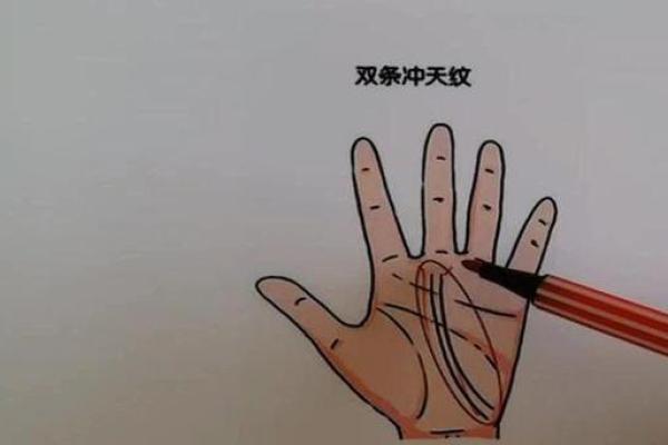 冲天纹揭秘：手相中的事业巅峰标志