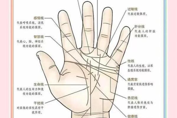 晚婚女性的手相密码：揭秘幸福晚来的秘密