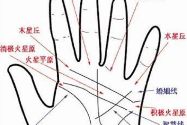 手相解读：一招掌握财运、健康、感情全解析！