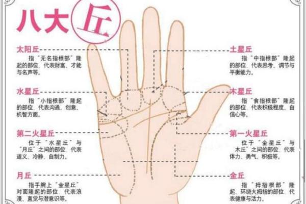 手相解读：一招掌握财运、健康、感情全解析！