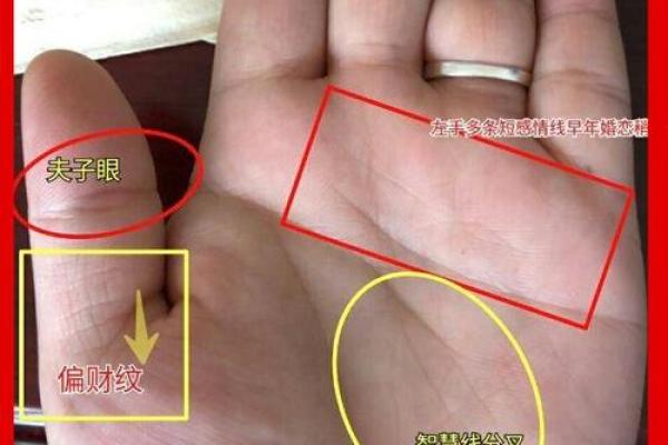 一招看手相，知晓你的运势与未来！