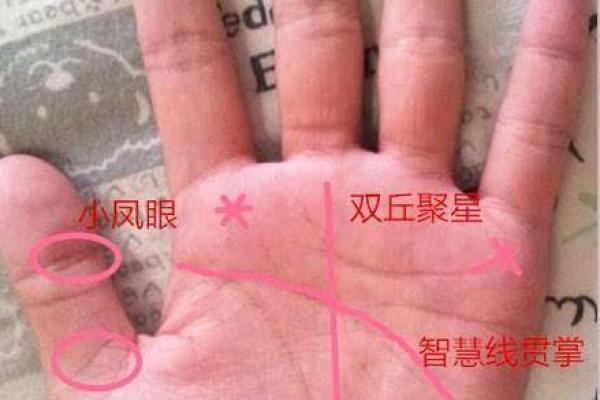 手相大师亲授：看手相，知命运，告别迷茫！