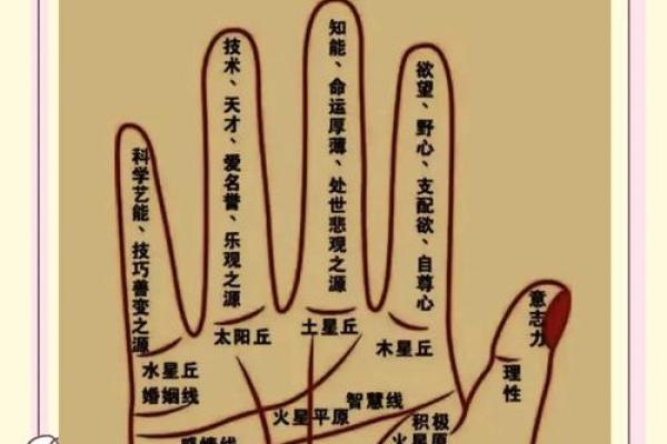 手相流年秘术大揭秘！