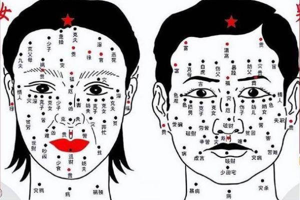 痣相面相大揭秘：读懂你的命运密码