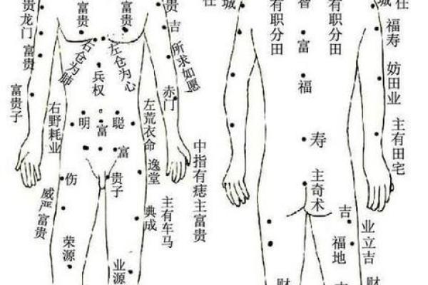 一图在手，识人无忧：麻衣神相痣法令图解，开启人生智慧之门