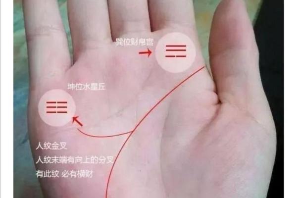 手相揭秘：金叉预示大运来临！