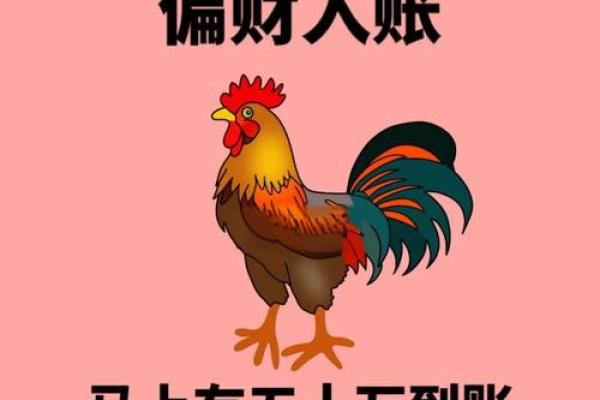 属鸡人鸡年运势大揭秘：财运亨通，事业腾飞
