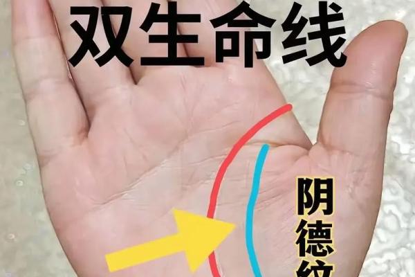 一招看手相，财运亨通无阻，快来测测你的财运！