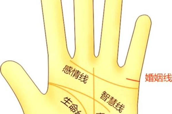 一招看手相，财运亨通无阻，快来测测你的财运！