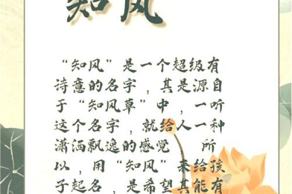 植物公司起名指南：如何选择一个吸引客户的名字