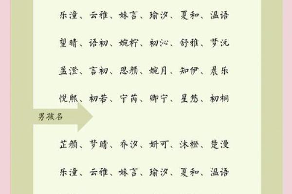 宣姓男孩起名技巧解枿