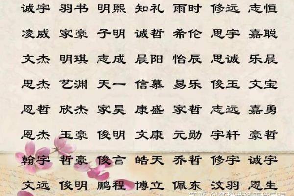 宣姓男孩起名技巧解枿